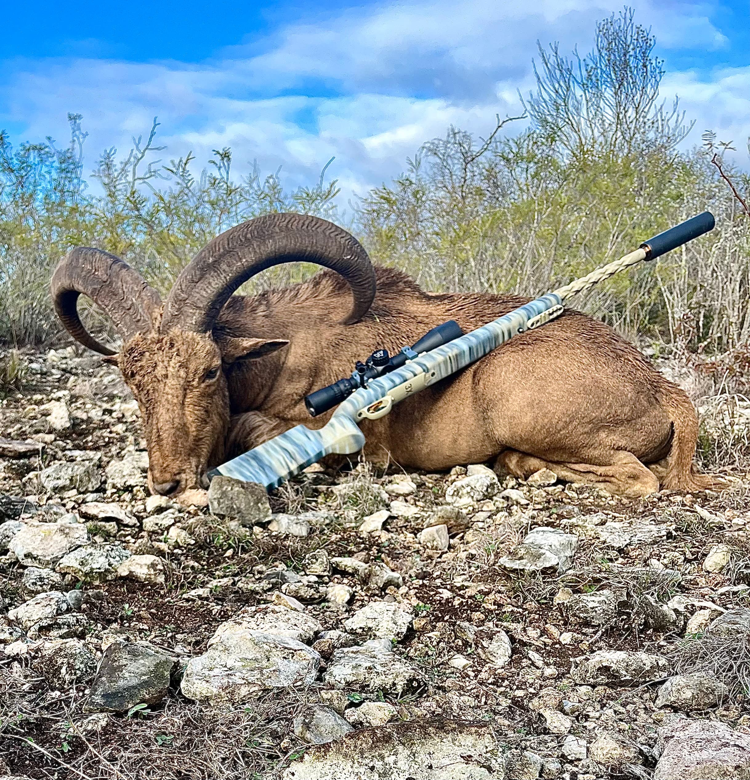 South Texas Armament cover photo